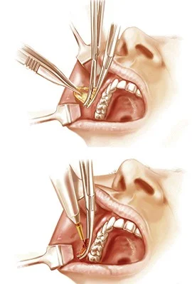 کلینیک دانش